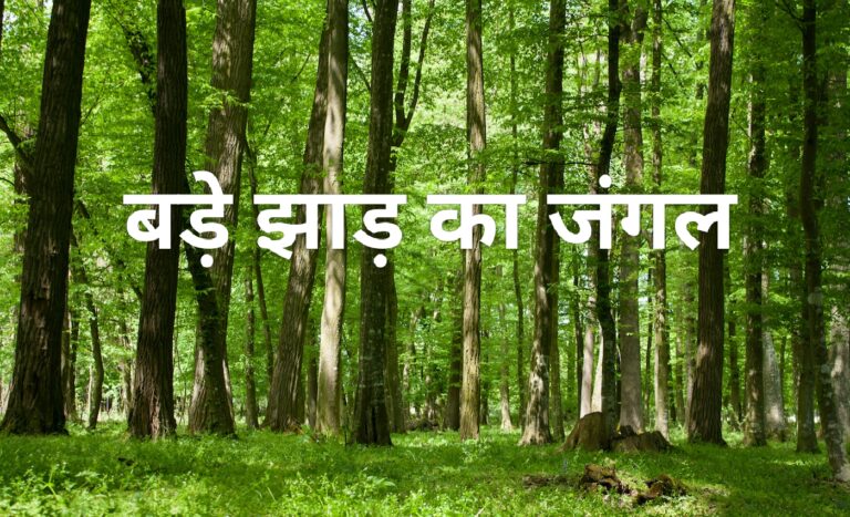 20 एकड़ सरकारी जमीन भू-माफिया के नाम दर्ज, पटवारी ने किया खेला, क्या इस बार भी बचेगा दोषी ?